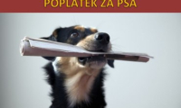 Poplatek ze psů