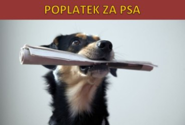 Poplatek ze psů